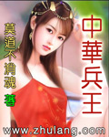 中華兵王