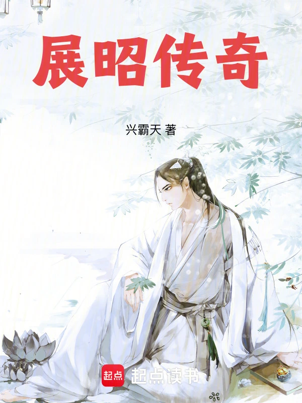 大宋神探录：展昭传奇